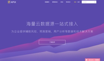 APIX技术 以互联网数据服务攻破个人信用评估的数据壁垒